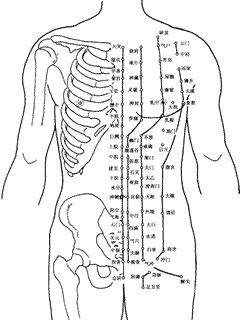 人体前部穴位图